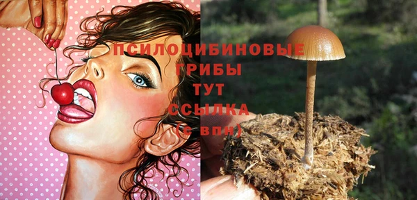 ECSTASY Армянск
