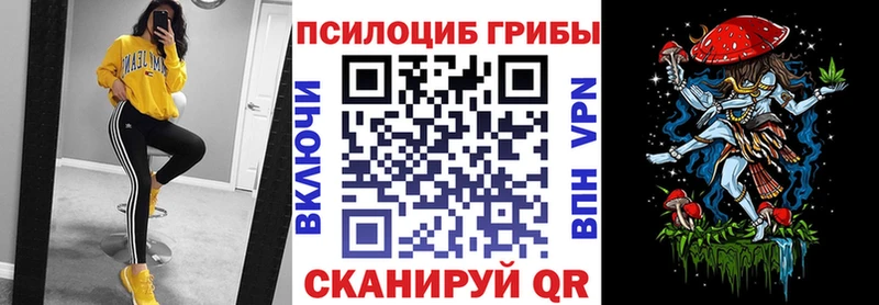 Псилоцибиновые грибы мицелий  Новопавловск 